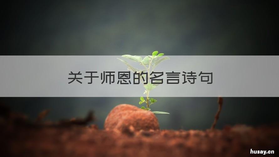 关于师恩的名言诗句 关于师恩的名言名句