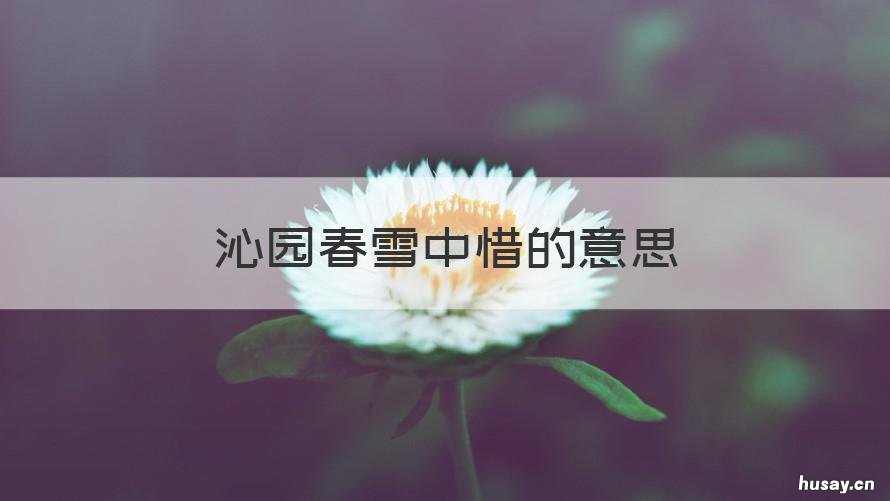 沁园春雪中惜的意思 沁园春雪中惜怎么理解
