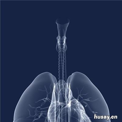 乙肝表面抗体阳性是什么意思？是不是乙肝？ 乙肝表面抗体阳性是什么意思呢需预防吗