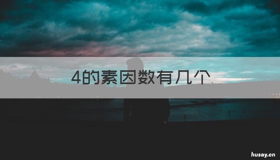 4的素因数有几个 24的素因数一共有几个