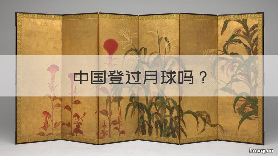 中国登过月球吗 中国有登上过月球吗?
