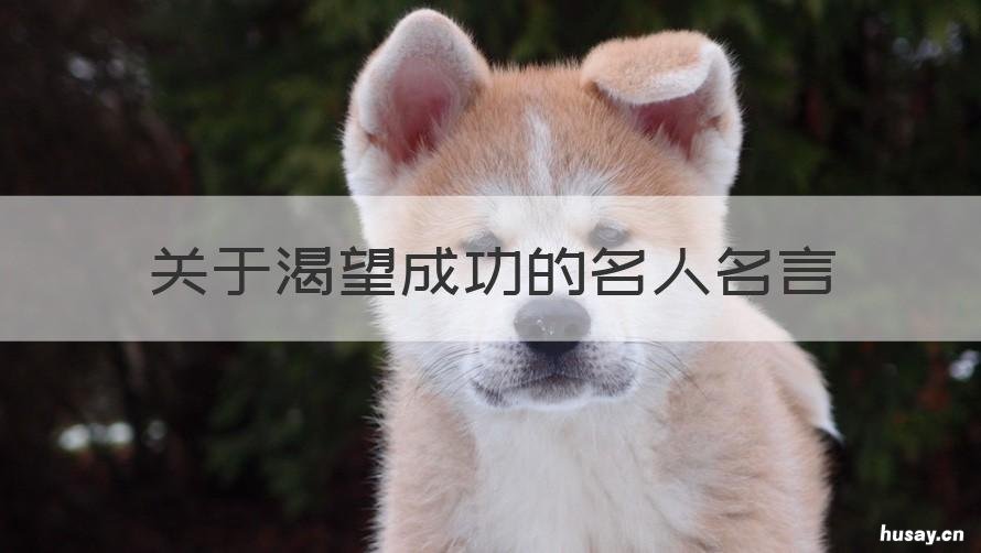 关于渴望成功的名人名言 关于渴望理解的名人名言