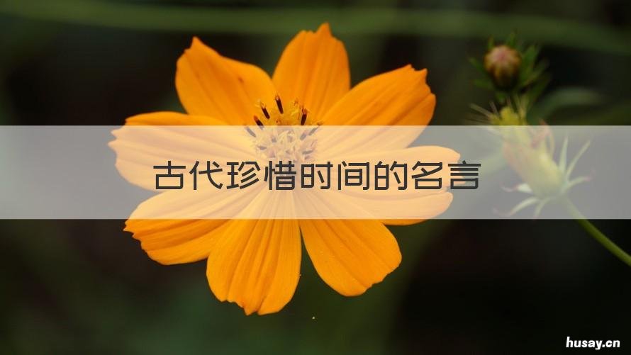 古代珍惜时间的名言 古代珍惜时间的名言名句大全