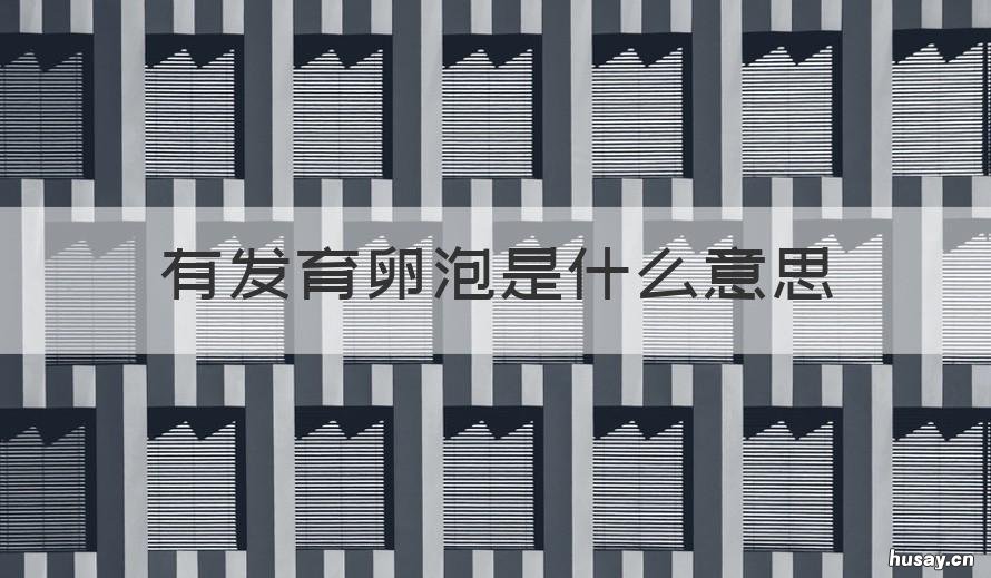 有发育卵泡是什么意思 有发育卵泡是什么意思图片