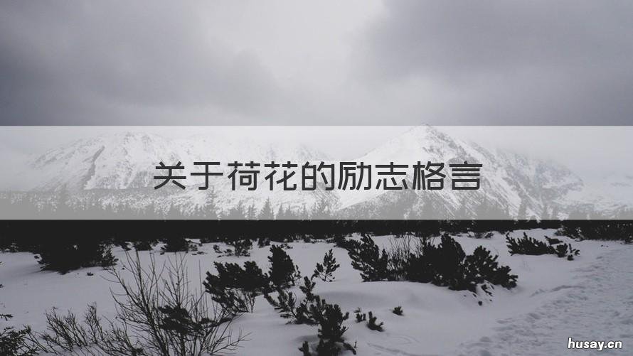 关于荷花的励志格言 关于荷花的励志格言简短