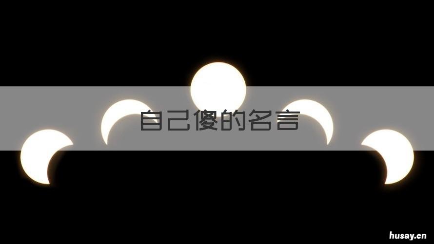 自己傻的名言 关于傻事的名言