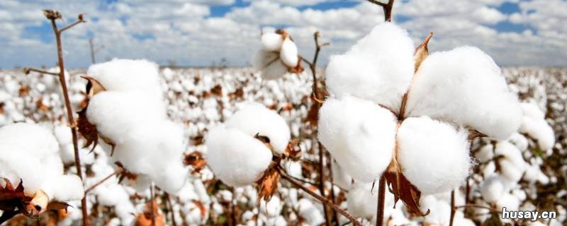 8斤棉被适合多少℃盖 八斤棉被有多大