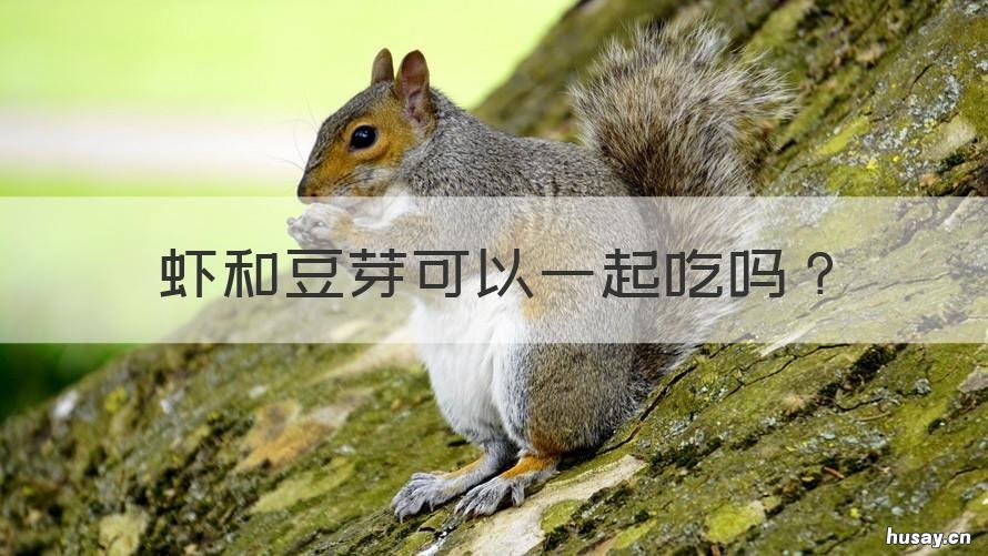 虾和豆芽可以一起吃吗 虾和豆芽可以一起吃吗?