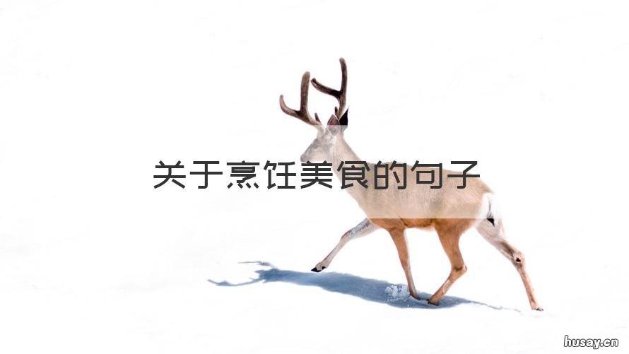 关于烹饪美食的句子 形容烹饪美食的优美句子