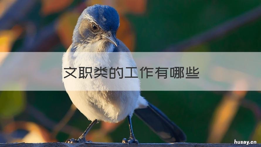 文职类的工作有哪些 文职类的工作有哪些在什么APP上