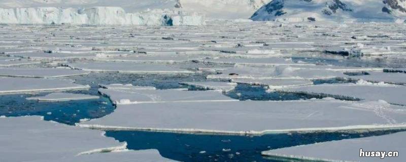 南极半岛可以住人吗 南极半岛可以住人吗现在