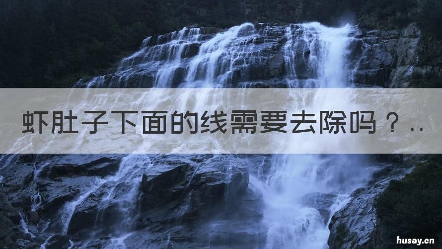虾肚子下面的线需要去除吗 虾肚子下面的线用去吗
