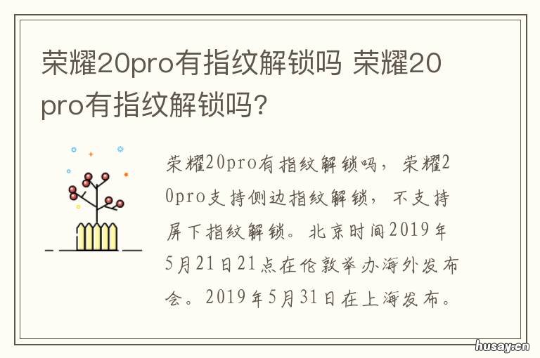 荣耀20pro有指纹解锁吗 荣耀20pro有指纹解锁吗怎么设置