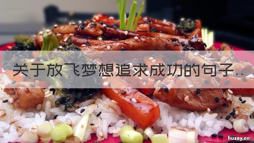 关于放飞梦想追求成功的句子 关于放飞梦想追求成功的句子有哪些