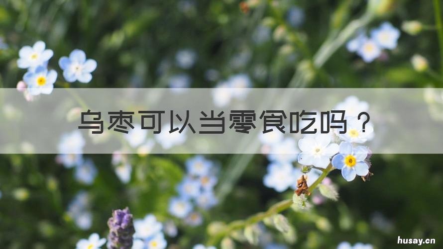 乌枣可以当零食吃吗 乌枣可以当零食吃吗图片