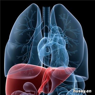 肝火旺盛怎么办 肝火旺盛怎么办 女性