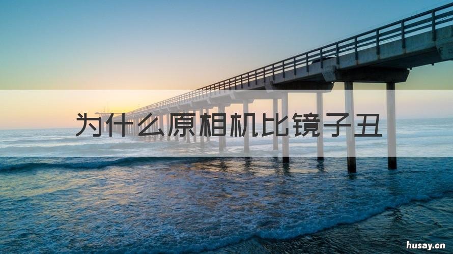 为什么原相机比镜子丑 为什么镜子里比原相机丑