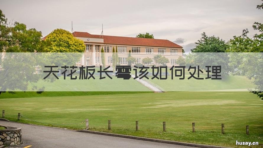 天花板长霉该如何处理 天花板发霉怎么办