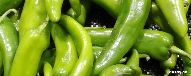 擂椒是什么辣椒 擂辣椒用的那个是什么