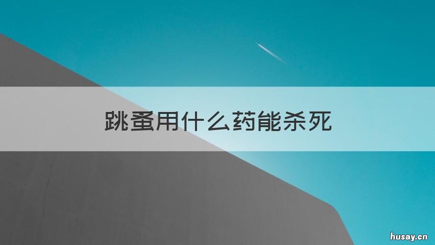 跳蚤用什么药能杀死 跳蚤用什么药能杀死最好最快的