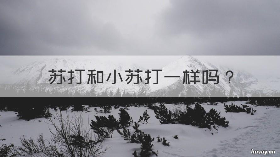 苏打和小苏打一样吗 苏打和小苏打是不是一样的