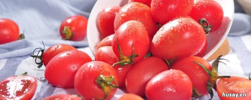 全国高速蔬菜不免费的有哪些 蔬菜免高速费吗