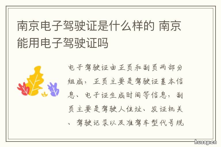 南京电子驾驶证是什么样的 南京使用电子驾照