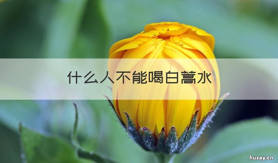 什么人不能喝白蒿水 白蒿水能不能经常喝
