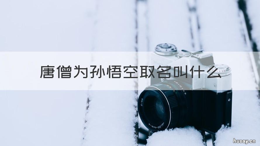 唐僧为孙悟空取名叫什么 唐僧为孙悟空取名叫什么来着