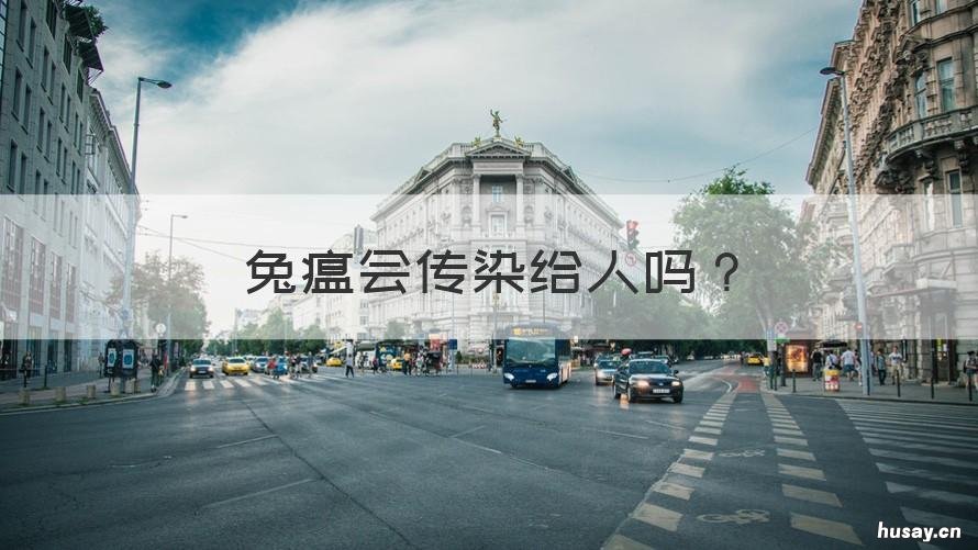 兔瘟会传染给人吗 兔瘟会传染给人吗?