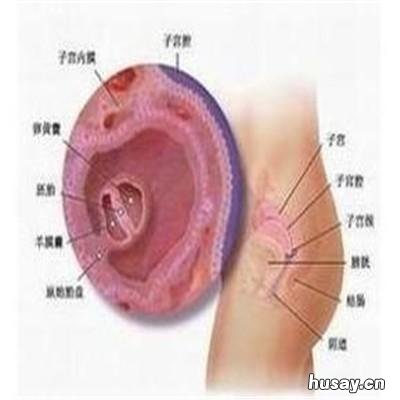 月经不干净是什么原因 上环第三个月月经不干净是什么原因