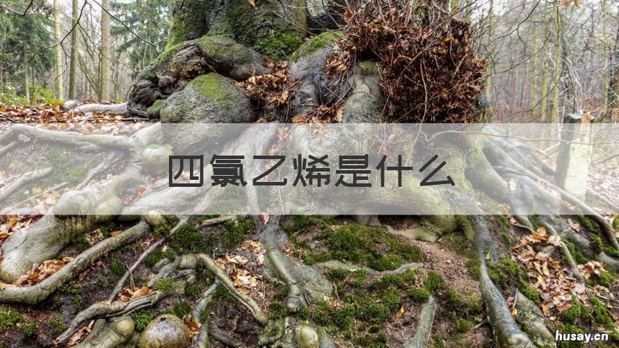 四氯乙烯是什么 四氯乙烯是什么溶剂