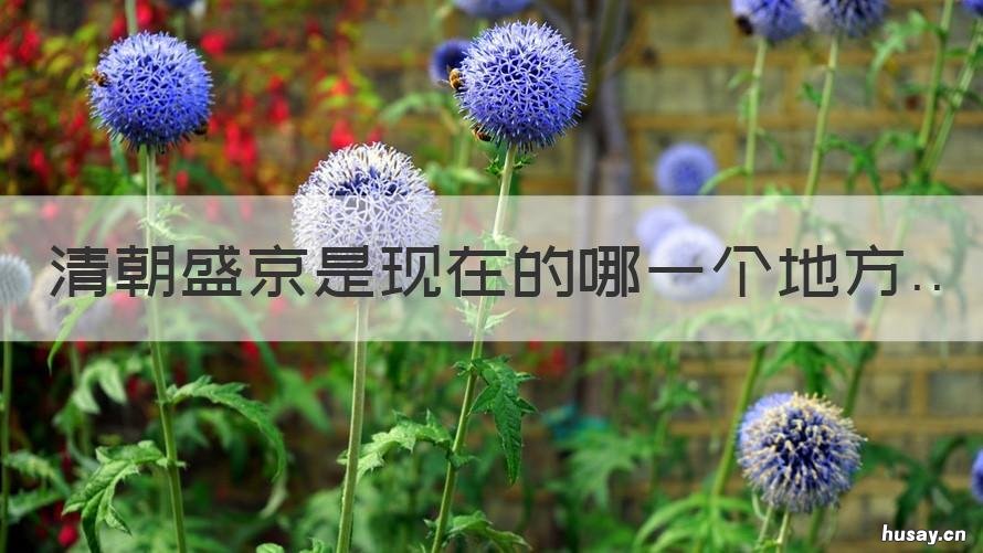 清朝盛京是现在的哪一个地方 清朝的盛京是现在的哪里