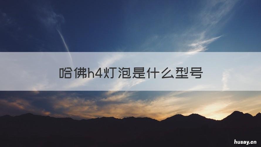 哈佛h4灯泡是什么型号 哈弗H4大灯型号