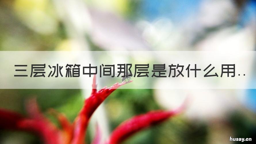 三层冰箱中间那层是放什么用 三层冰箱中间那层是干嘛的