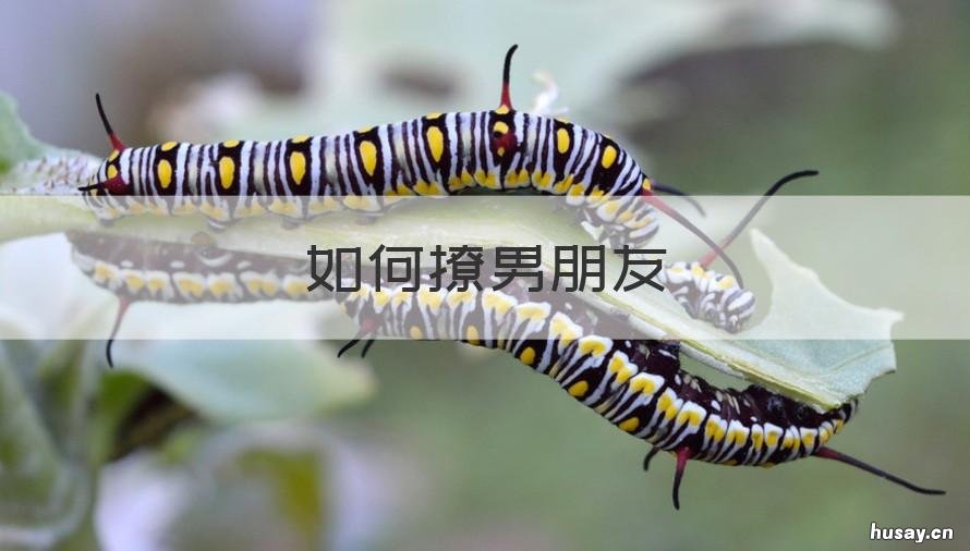 如何撩男朋友 如何撩男朋友起反应的话