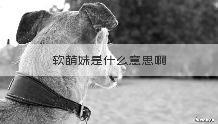 软萌妹是什么意思啊 软萌妹是什么意思啊英文