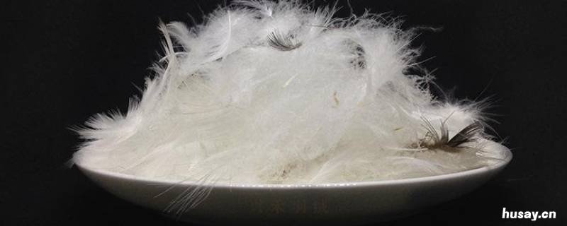 国标白鸭绒是多少 什么是国标白鸭绒
