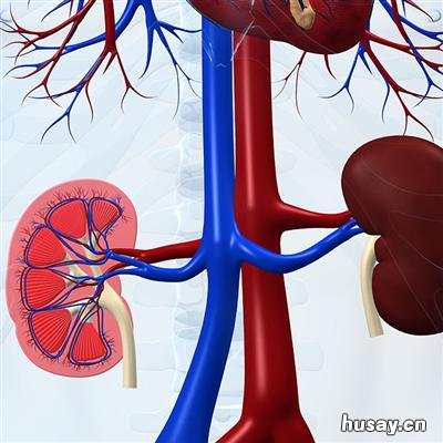 小腿肿胀发硬怎么回事 来大姨妈小腿肿胀发硬怎么回事