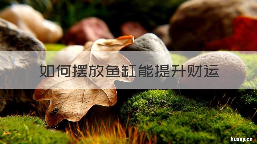 如何摆放鱼缸能提升财运 鱼缸风水摆放财运