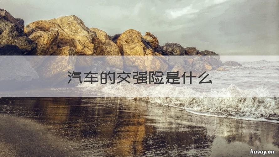 汽车的交强险是什么 汽车交强险是什么样子