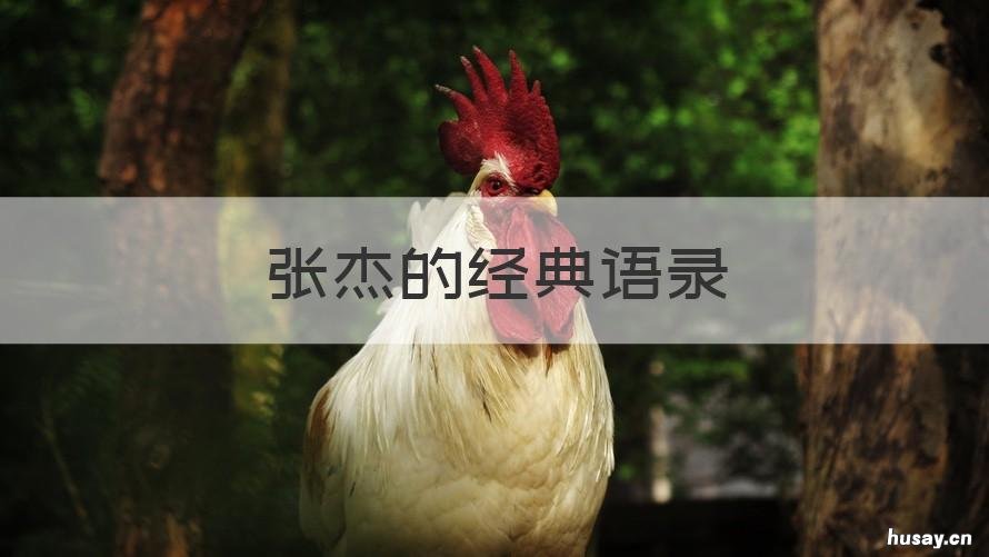 张杰的经典语录 张杰说的最经典一句话