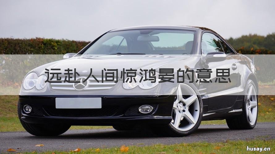 远赴人间惊鸿晏的意思 远远赴人间惊鸿宴的意思