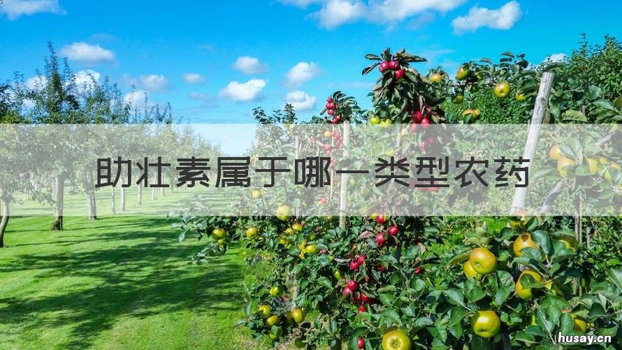 助壮素属于哪一类型农药 助壮素都有哪些