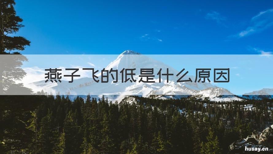 燕子飞的低是什么原因 很多燕子低飞的原因是什么