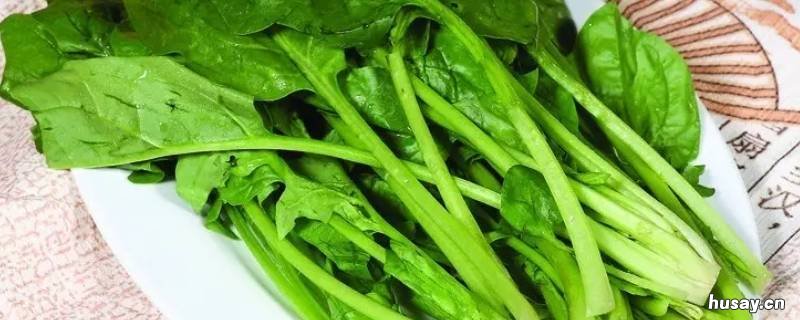 菠菜什么季节吃 菠菜什么季节吃最好