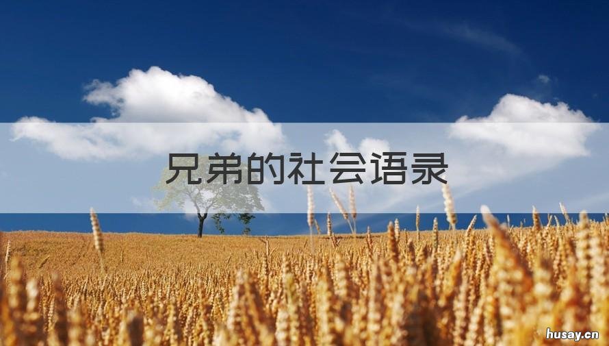 兄弟的社会语录 兄弟的社会语录短句