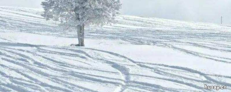 为什么祖国各地的冬天会不一样 为什么中国各地的冬天会不一样