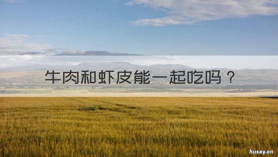 牛肉和虾皮能一起吃吗 牛肉能与虾皮一起吃吗