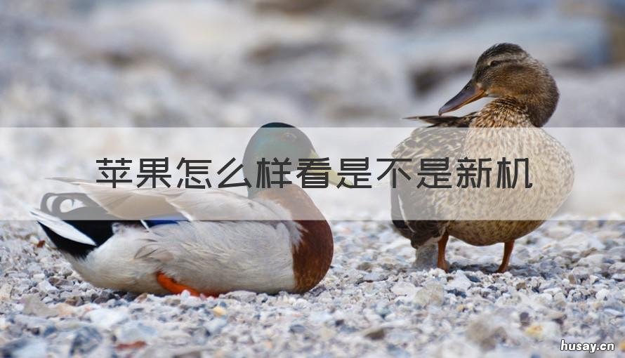 苹果怎么样看是不是新机 苹果怎么样看是不是新机了